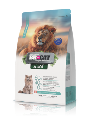 br for cat wild adult lamb and turkey