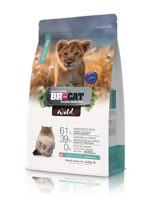 br for cat wild kitten lamb and turkey