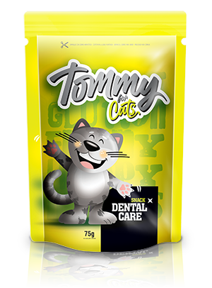 tommy cat dental care